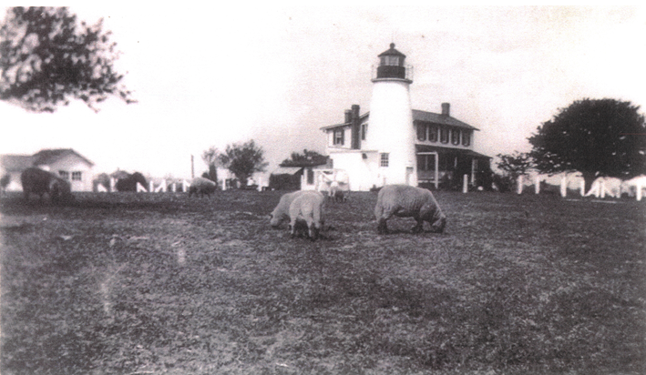 Turkey Point Lighthouse